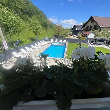 Guest house фенікс